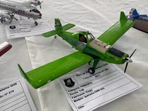 Catanduva_Aviação (10)