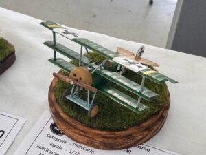 Catanduva_Aviação (42)